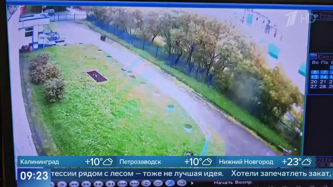 Новости в 9:00 22.09.2026: кадр 5